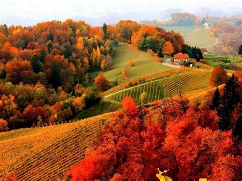 Autumn in Dilijan, Armenia | Paysage automne, Paysage, Paysage extraordinaire