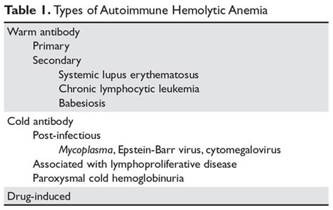 What Causes Autoimmune Hemolytic Anemia In Dogs