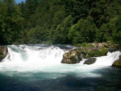 Husum, WA: All You Must Know Before You Go (2024) - Tripadvisor