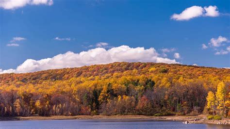 12 Great Spots to Enjoy New Jersey Fall Foliage in 2023