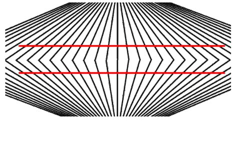 Popular Parallel Lines Optical Illusion | Genius Puzzles