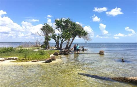 Los 6 mejores Psicólogos en Titusville (Florida)