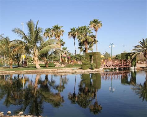 THE BEST Things to Do in Yanbu with Kids (2024) - Tripadvisor