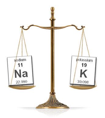 The Balance Between Sodium and Potassium | BodyBio