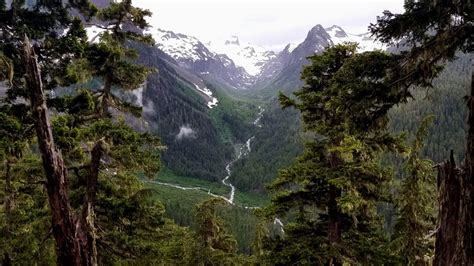 Washington’s Hoh Rain Forest: A beauty and a beast | king5.com