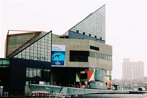 National Aquarium: Baltimore Attractions Review - 10Best Experts and ...