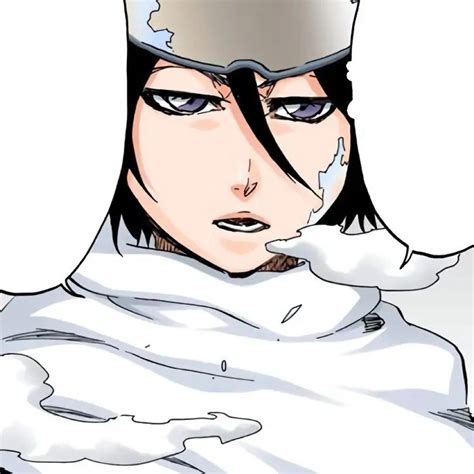 Pin by 𝘤𝘰𝘴𝘮𝘰𝘴ᥫ᭡ on 𝘰𝘵𝘩𝘦𝘳 in 2023 | Bleach rukia, Bleach (anime), Manga ...