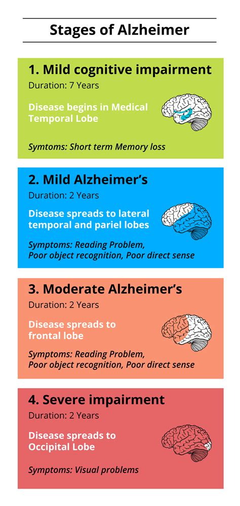 What are the 4 stages of Alzheimer and their effects? | CircleCare