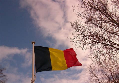 Belgium Flag | Free Stock Photo | Belgian flag | # 17831