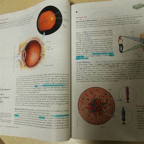 Discovering Psychology, Hobbies & Toys, Books & Magazines, Textbooks on Carousell