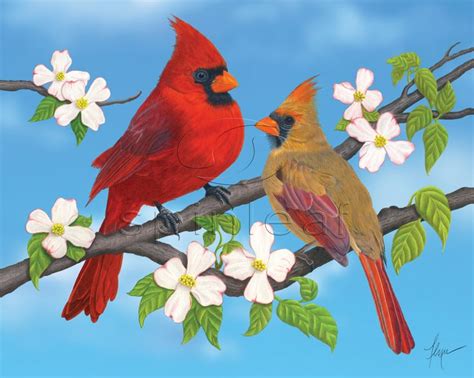 Cardinal Art Print -- Illustration of Red Cardinals on blue | Bird art print, Art prints ...