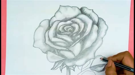 Rosas Para Dibujar A Lapiz Faciles A todos los ni os les encanta dibujar pero no todos nacen con ...