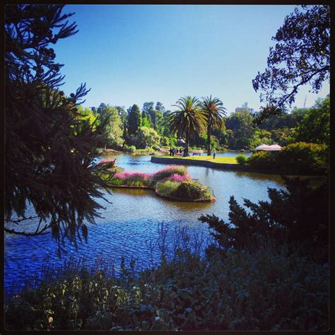 Botanical Gardens Near Melbourne - Beautiful Insanity