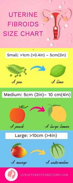 Comparing Fibroids with Fruits | Uterine Fibroids Article | HysterSisters | Fibroids, Uterine ...