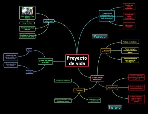 David Alejandro Perez Medina: Mapa mental proyecto de vida