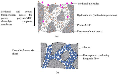 (a) Schematic diagram of proton and methanol conduction across porous ...