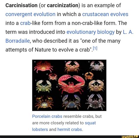 Carcinisation (or carcinization) is an example of convergent evolution in which a crustacean ...