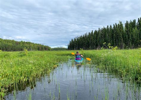 Swan Lake Canoe Trail: What You Need to Know + Directions