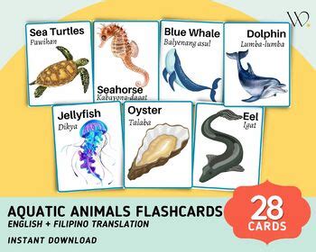 Aquatic Animals (28) Flashcards - Tagalog Flashcards with English Translation