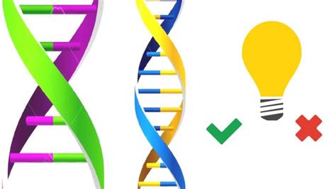 What is Genetic Engineering? | Doovi