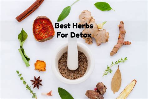 Best Herbs For Detox | Gut Colon Cleanse