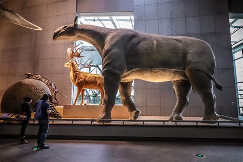 5 Most Gigantic Prehistoric Mammals to Ever Walk the Earth–Warm-Blooded Dinosaurs, Practically