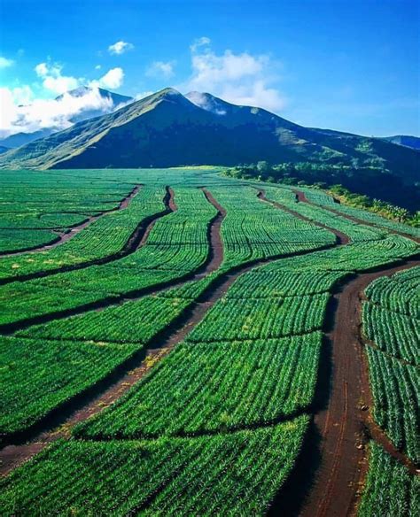 Impasugong, Bukidnon, Philippines A massive... - The New Philippines ...