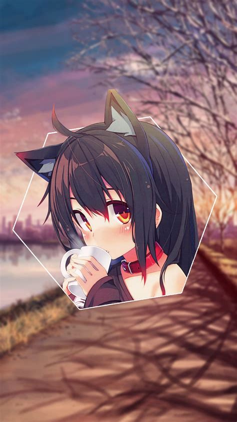 720P free download | Neko Girl, anime, cute, girl anime, waifu, HD phone wallpaper | Peakpx