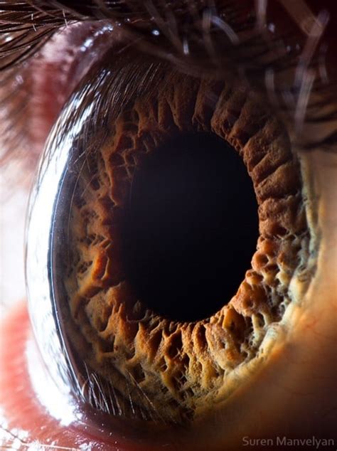 25 fotografías de ojos a detalles por Suren Manvelyan