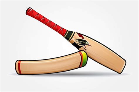 Cricket bat design as Cricket Equipment Icon | Premium AI-generated image