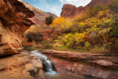 Coyote Gulch waterfall - Alan Majchrowicz Photography