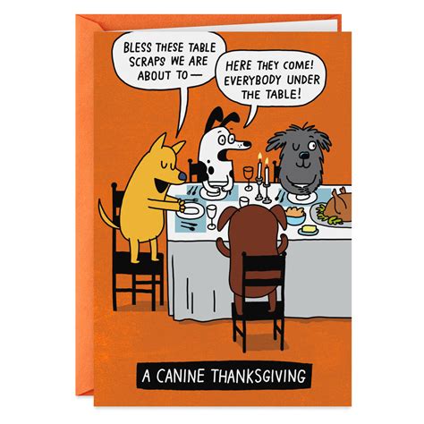 Doggone Happy Dog Feast Funny Thanksgiving Card - Greeting Cards - Hallmark