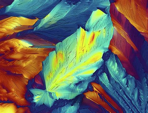 Light Micrograph Of Citric Acid Crystals Photograph by Alfred Pasieka - Fine Art America