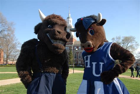 Friends of Howard Football | Howard university, University, Mascot