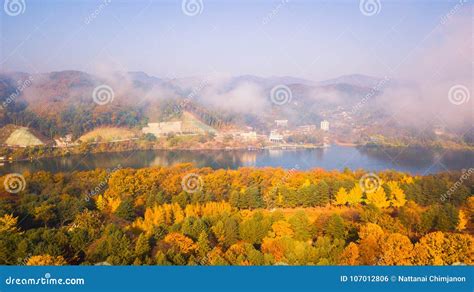 Aerial View. Sunrise Autumn at Nami Island ,Seoul Korea. Stock Photo ...