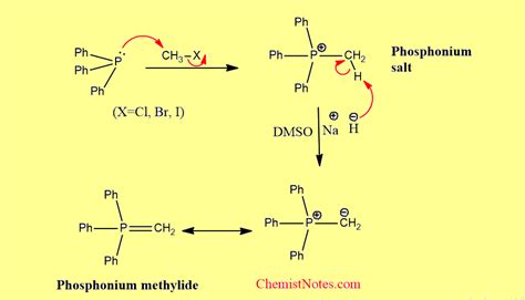 Phosphorus ylide: Definition,6 types, synthesis, useful application ...