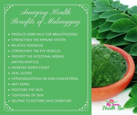 Amazing Health Benefits of Malunggay (1) | Health tips, Health, Home health