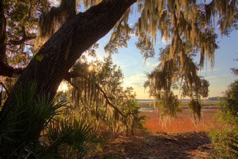 Ocala National Forest - North Central Florida - Around Guides