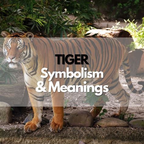 Tiger: Symbolism, Meanings, and History - Symbol Genie