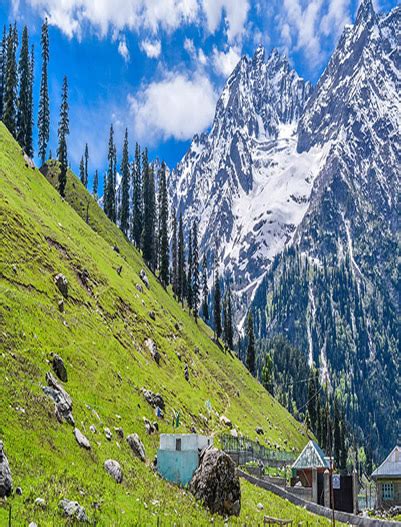 Pahalgam Tour Packages | Wonder Earth Tour :- Ghoomo Dil Se ...