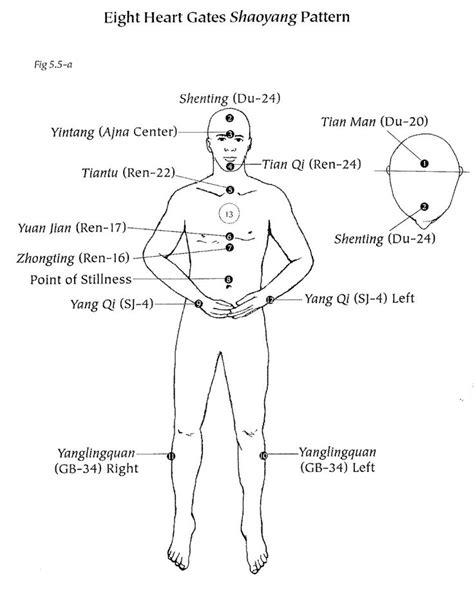 Eight Heart Gates Pattern | Acupressure points, Acupuncture, Acupressure