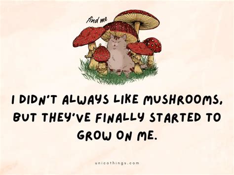 69 Mushroom Puns That Are Hilarious to Read (2024)