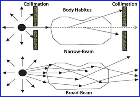 Attenuation and Scatter