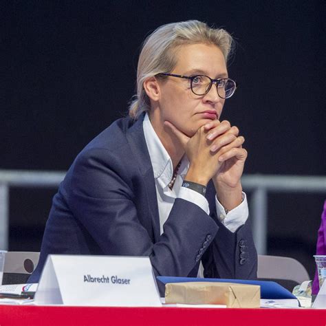 Alice Weidel | Steckbrief, Bilder und News | WEB.DE