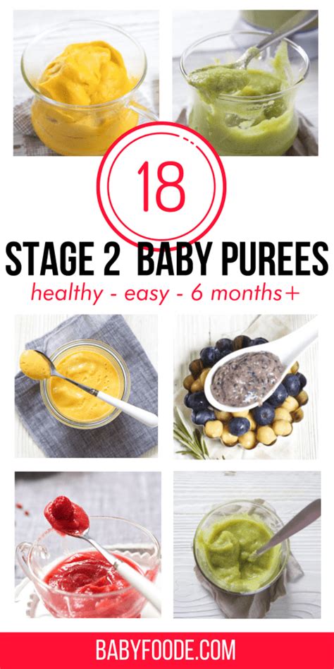 18 Amazing Stage 2 Baby Food Purees (6-8 months) | Baby Foode