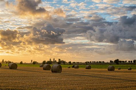 HD wallpaper: Hay Field Sunset Clouds HD, nature | Wallpaper Flare