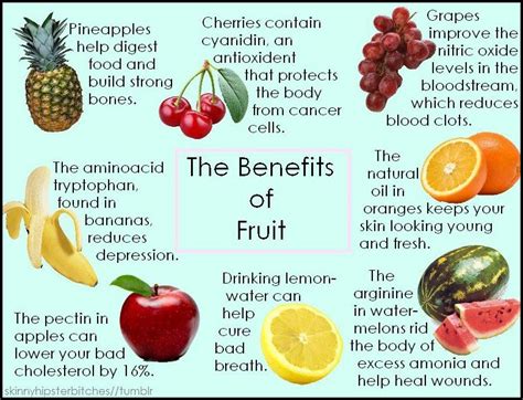 Benefits Of Eating Fruits And Vegetables | The Garden