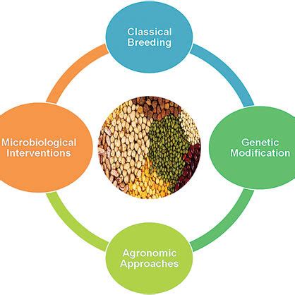 (PDF) Biofortification in Pulses