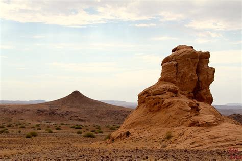 Damaraland: white trees in stunning landscapes