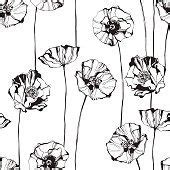 Floral monochrome background. Vector illustration. Vector... | Noir et blanc, Coquelicots et Dessin